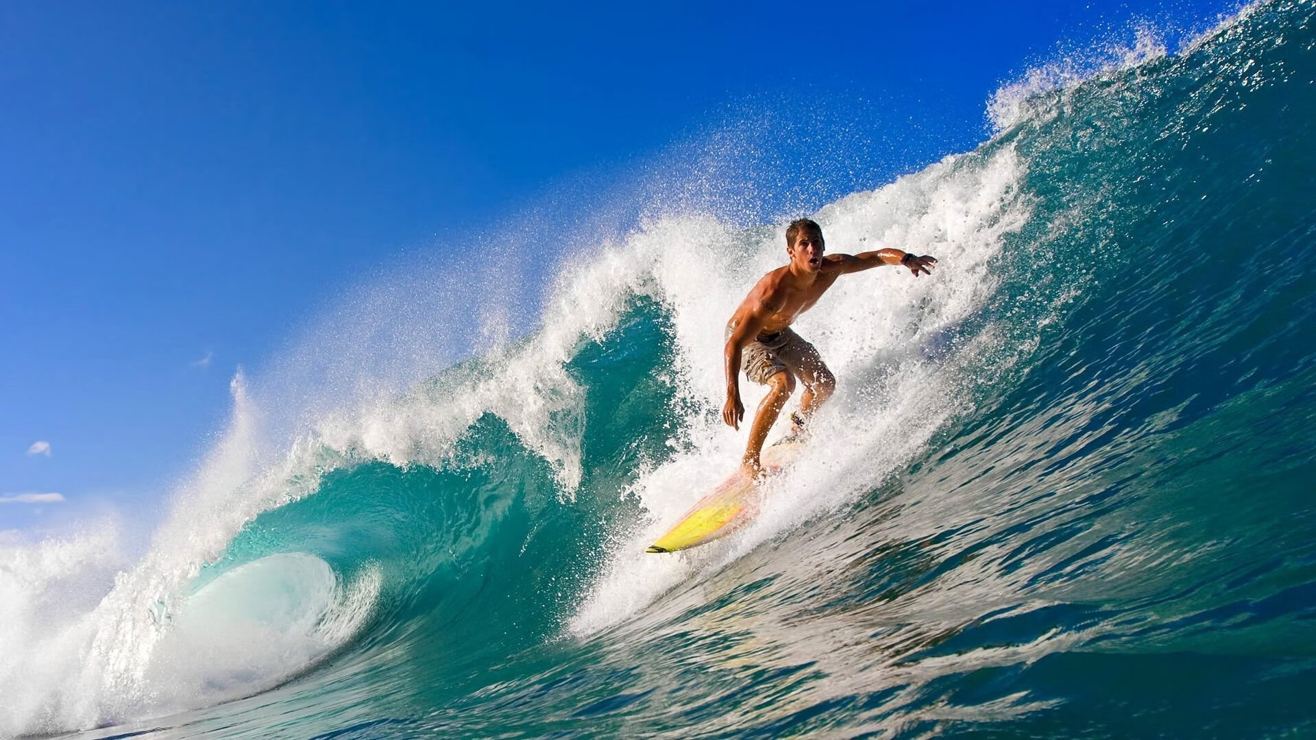 “历史回忆：带你领略NBA最伟大的冠军赛”，最著名的5个nba冠军